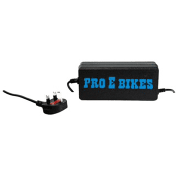 Pro E Bikes battery - Image 6